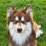Rocky Floyd - @rocky_badboy_floyd - Instagram