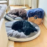 Rocky + Hunter - @rockyandhunter - Instagram