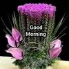 Tarun verma - @rockyhunter009 - TikTok