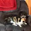 Jasper & Rocky - @jasper.rocky - TikTok