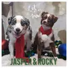 Jasper the wiggle - @jasperandrockyroad - TikTok
