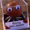 Rocky the fab rock - @rockyredjasper - TikTok
