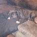 Rocky Lambert - Facebook