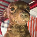 Rocky Lowe - @rocky.lee.cornelius.lowe - Instagram