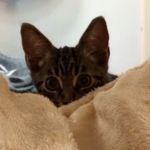 ROCKY - @rocky_lowe - Instagram