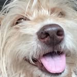 Rocky.Priscilla Lyons - @rocky.priscilla - Instagram