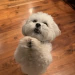 Rocky Mathis - @rockymathis728 - Instagram