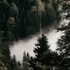 millsrocky - @millsrocky - TikTok