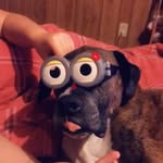 Rocky Mills - @scooby_dumb_rocky - Instagram