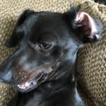 Rocky Millsap - @rockymillsap_4 - Instagram
