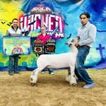 Rocky Lee Morris - @rocky_morris_fallbrook - Instagram