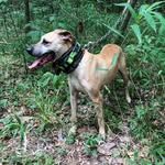 Rocky Morris - @rocky.morris.1238 - Instagram