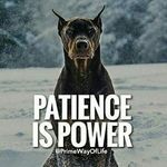 Rocky Nelson - @nelson.rocky - Instagram