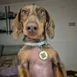 Rocky Nelson - @rocky.xaxixa - Instagram