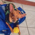 Rocky Nelson Jr - @rocky_nelson_jr - Instagram