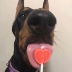Rocky - @rockyortizshitposting - Instagram
