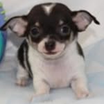 Rocky Pack - @rocky.pack - Instagram