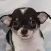 rockypack46 - @rockypack46 - TikTok