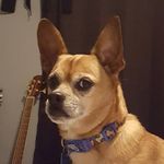 Rocky Gobey Pierce - @gobbbbeeeeyyy - Instagram