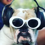 @rocky.retard.powell - Instagram