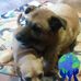 Rocky Powell - Facebook