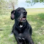 Rocky Powell - @rockypowpow - Instagram
