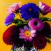 Rocky Ray - Facebook