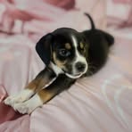 Rocky Reed - Facebook