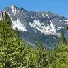 rocky reed - @rocky.reed8 - TikTok