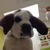Rocky - @rockycreed578 - TikTok