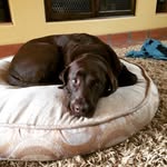 rocky top reed - @_rockyreed_ - Instagram