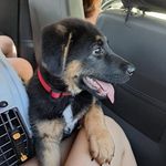 Rocky - @_rockyreyes - Instagram