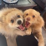 Rocky y familia - @rocky_reyes_molina - Instagram