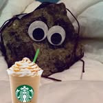 @rocky_roehmholdtclark - Instagram