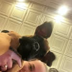 @rockyroewe - Instagram