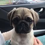 Rocky Ross - @rockyross12 - Instagram