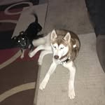 Rocky & Thomas - @rocky_thomas_ - Instagram