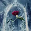 Rocky Thomas - @rockytt22846 - TikTok