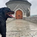 Rocky Von Watson - @rockyvonwatson - Instagram