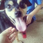Rocky Webb - @rocky_webb_ - Instagram