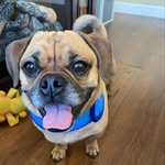Rocky Weber - @rocky_dough - Instagram