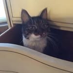 Rod Bailey - @rodabailey42 - Instagram