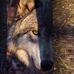 Rod Baird - Facebook
