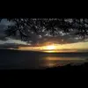 Rod Bauer - @rod.bauer - TikTok
