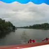 Rod Brown - @rod.brown5 - TikTok