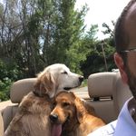 Rod Burton - @rburton71 - Instagram