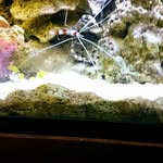 Rod Casey - @rod.casey.14 - Instagram