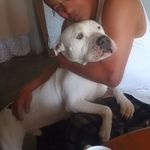 Rod Chavez - @rod.chavez.3990 - Instagram