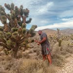 Rod Coleman - @rdcoleman57 - Instagram
