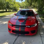 @rodco.leman - Instagram